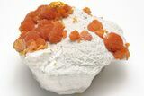 Vibrant Orange Orpiment Crystals on Barite - Russia #208757-2